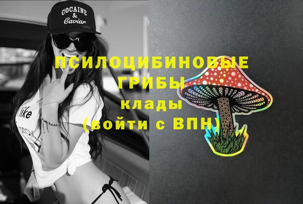 ECSTASY Абдулино