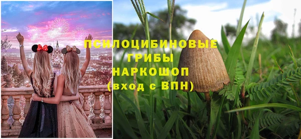 ECSTASY Абдулино