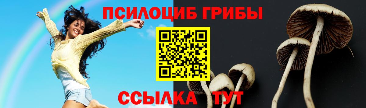 Галлюциногенные грибы Psilocybe  Вход с VPN  Кисловодск 